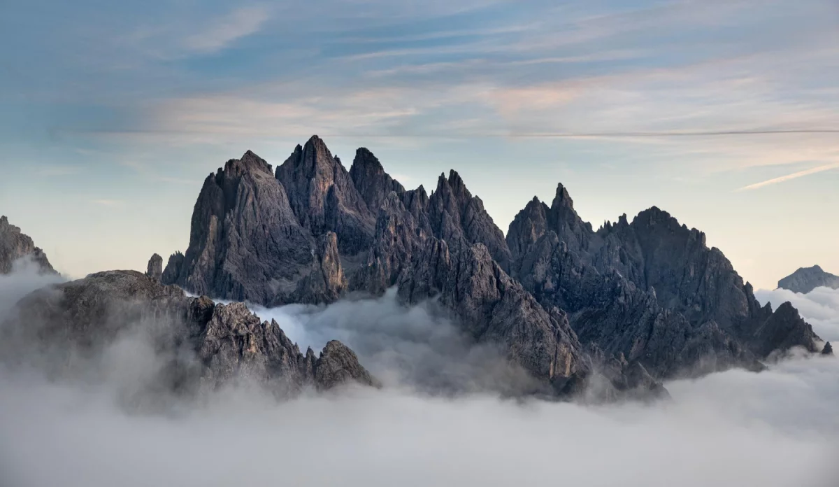 zamówić pokazy tańca Warszawa jak mistrz!