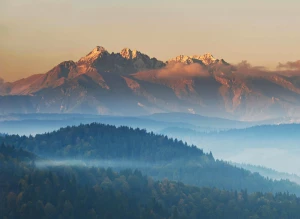 PILNE! Zobacz TYLKO Jeśli Chcesz chronić środowisko