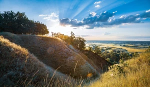 Gdzie taniej kupić artykuł sponsorowany?