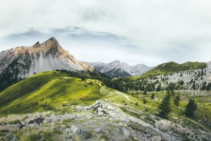 Czy opłaca się mieć wesele?