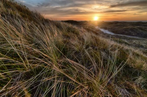 organizować imprezy jak mistrz!