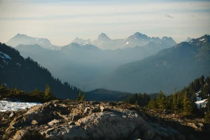 Sprawdź jak możesz opublikować artykuł